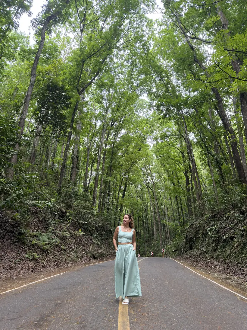Cristina caminando por la carretera de Bilar Man-Made Forest, entre árboles muy altos