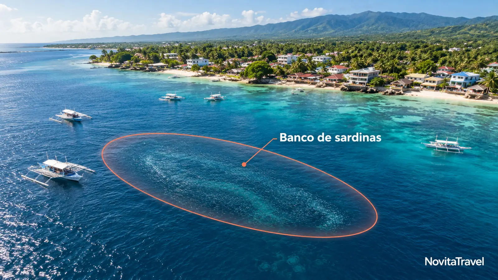 Ilustración aérea de la costa de Moalboal con el banco de sardinas marcado frente a la playa