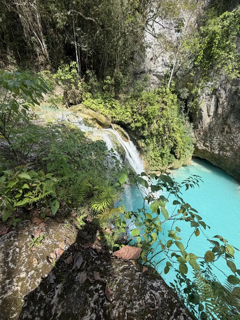 Cascada entre vegetación que cae a una poza turquesa