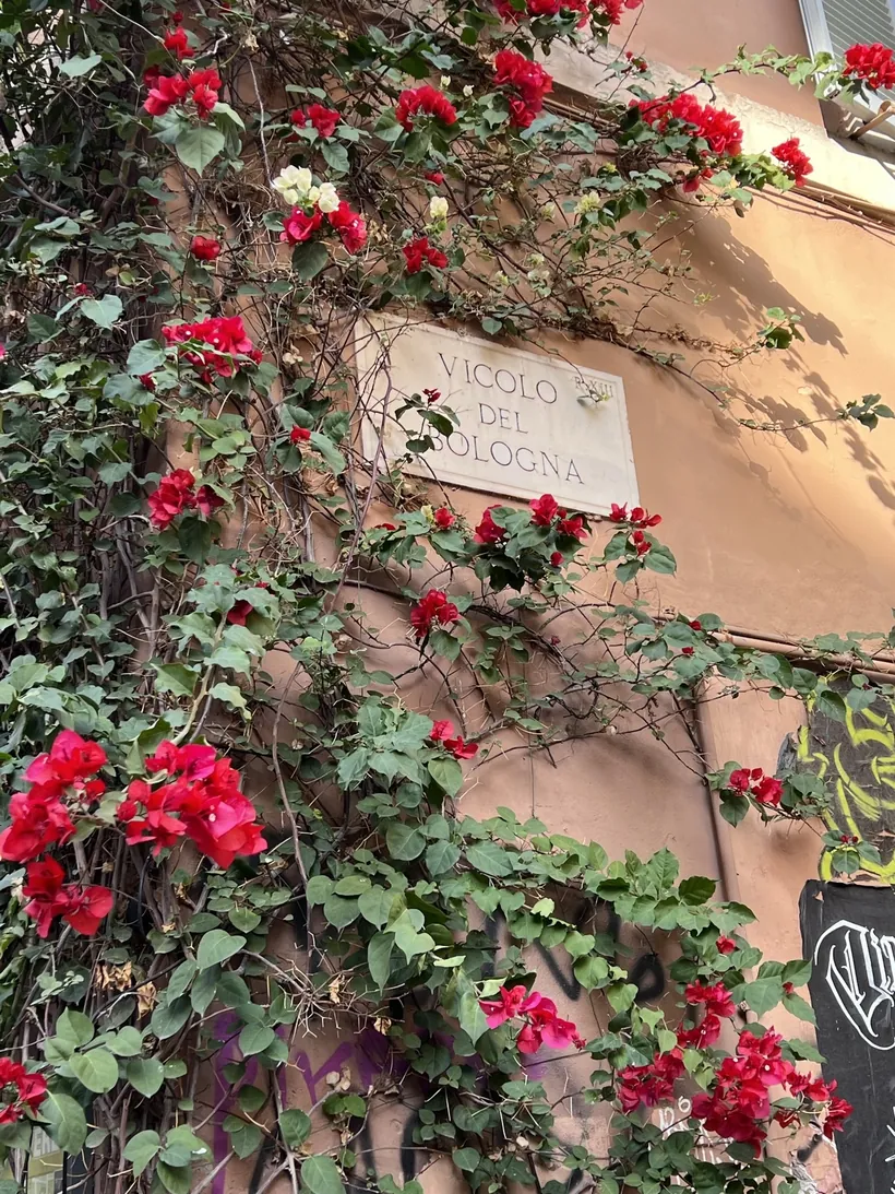 Placa de Vicolo del Bologna entre la vegetación de una fachada